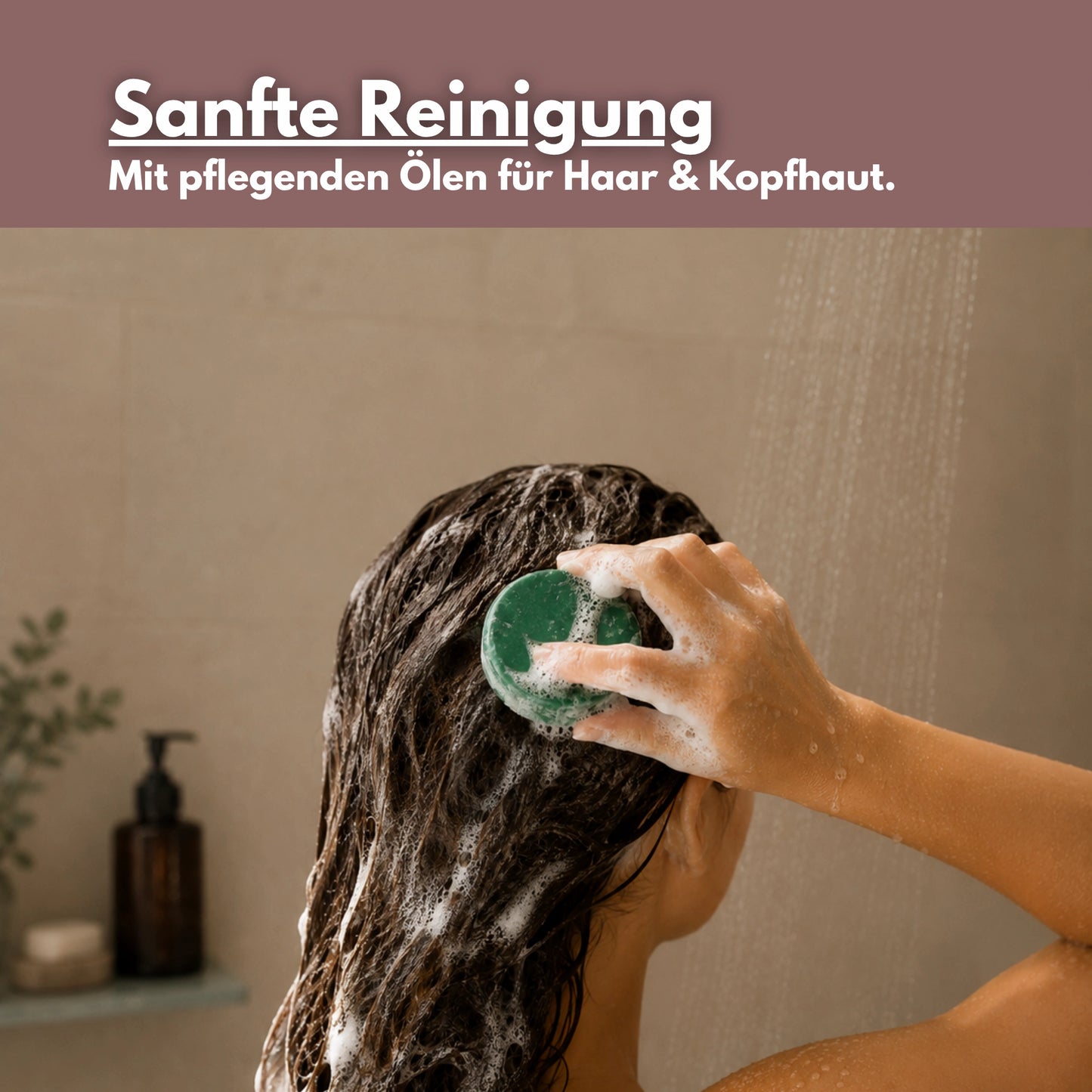 Festes Shampoo Aloe Vera