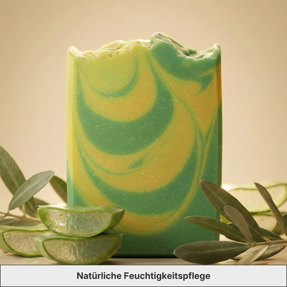 Feuchtigkeits - Bundle