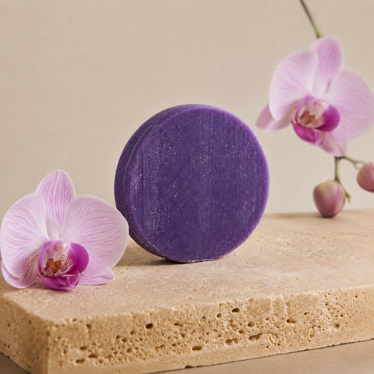Festes Shampoo Orchidee