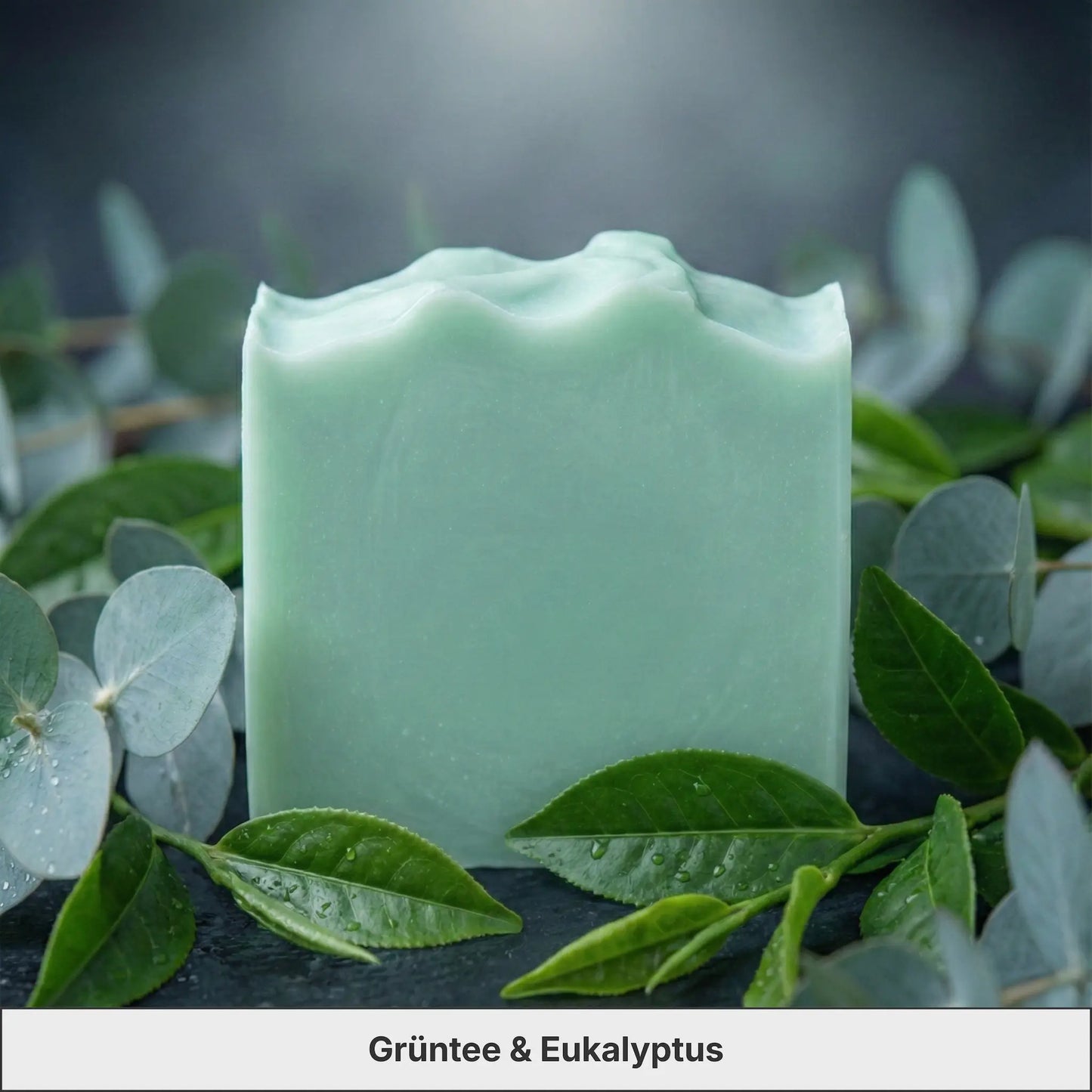 Stille Wälder - Bundle