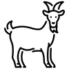 Mit Ziegenmilch